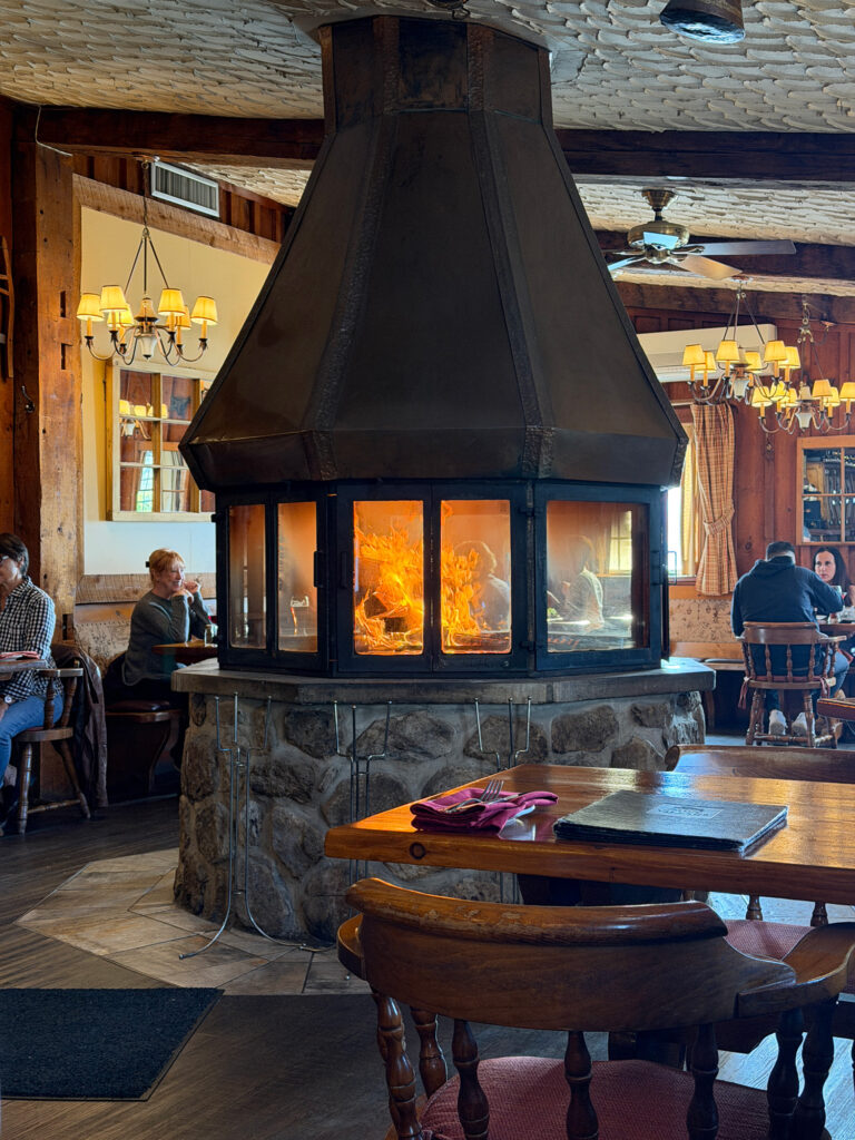 fireplace_lr